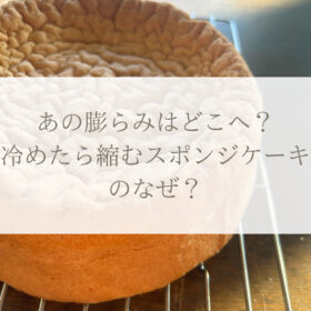 パイ しぼむ